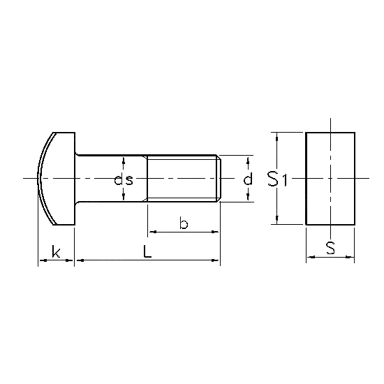 ASME/ANSI B18.5:2008 مسمار على شكل حرف T