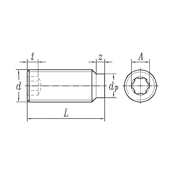 ASME/ANSI B18.3:2003 برغي مجموعة نقطة الكلب ذو المقبس السداسي
